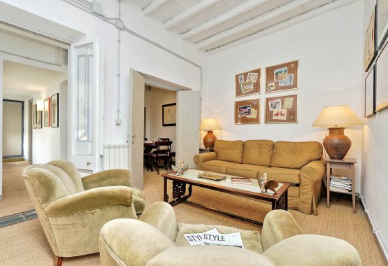 Rome apartments for rent in the city center: Rome Loft